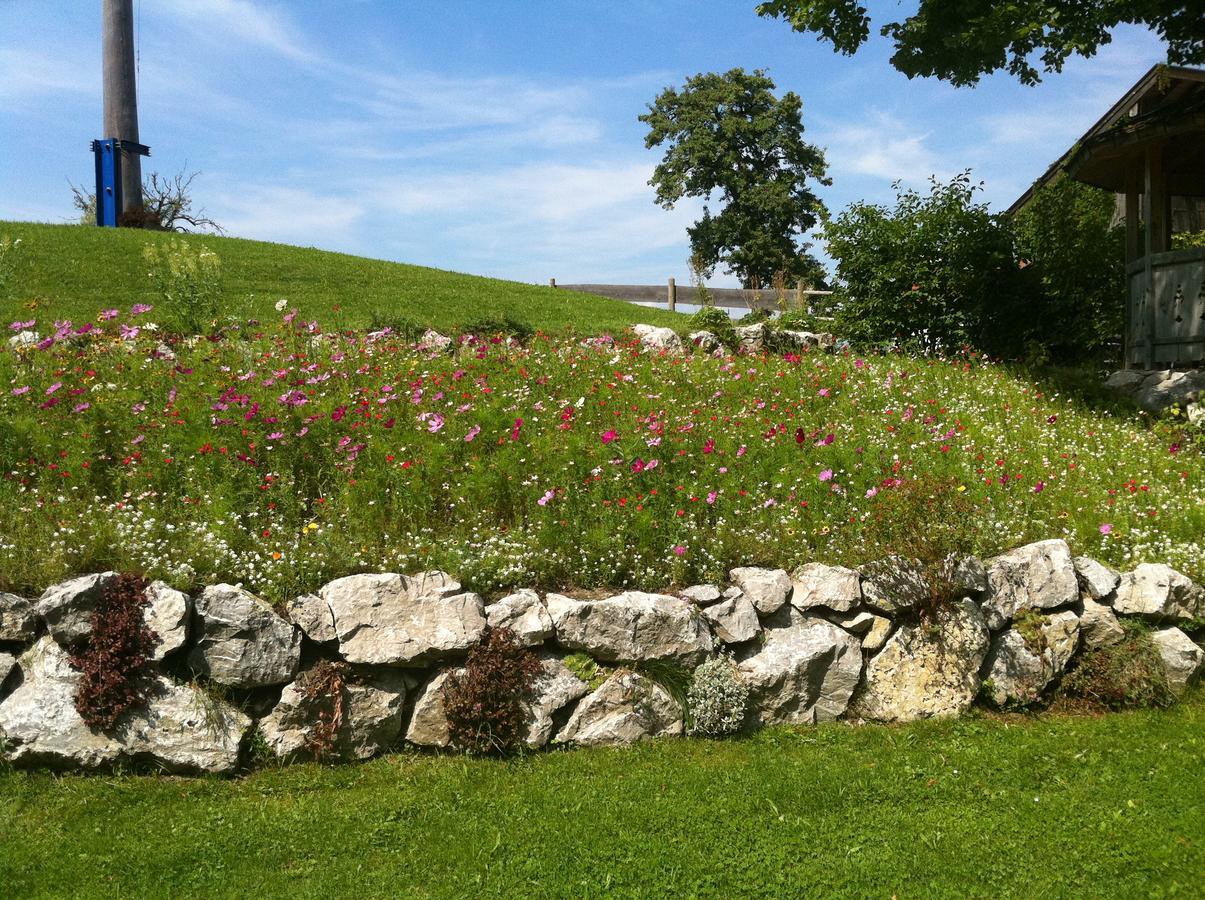 Landgasthof Fischbach Wackersberg 외부 사진